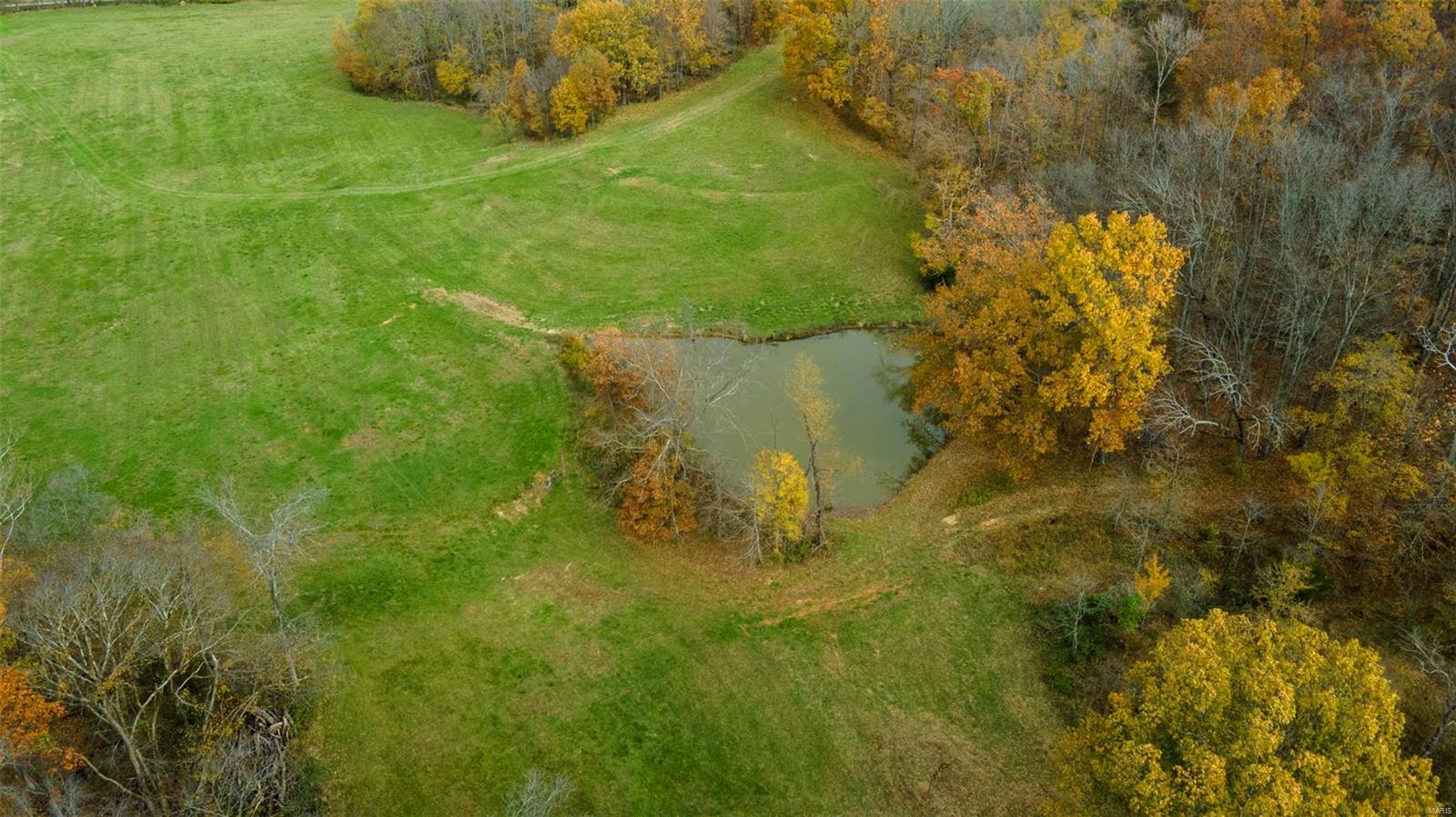 0 County Road 259 Property Photo 11