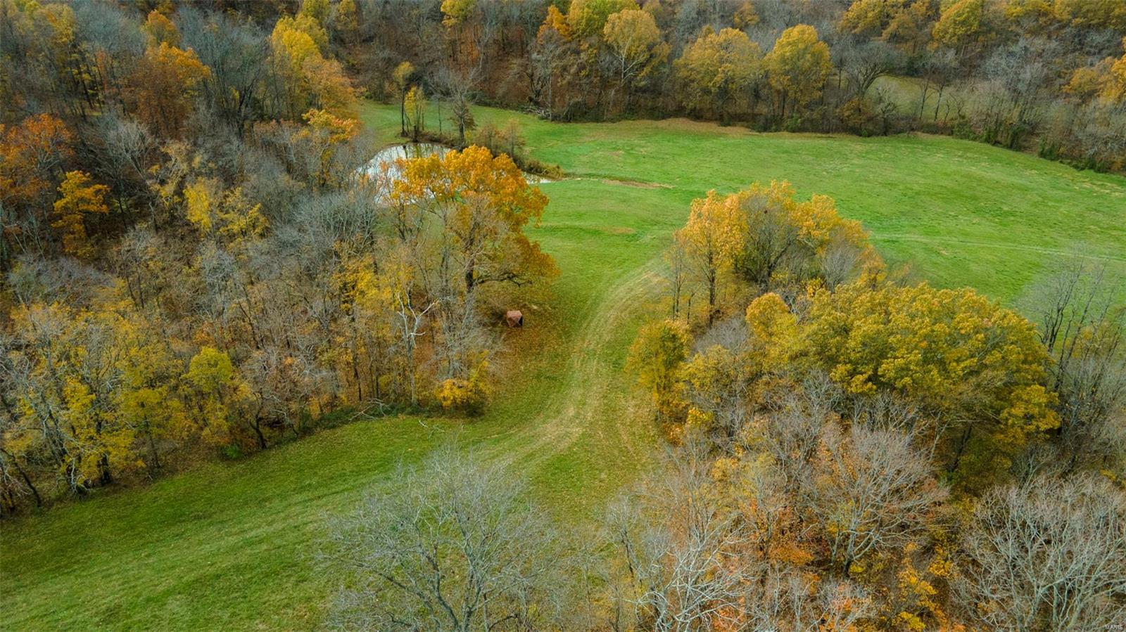 0 County Road 259 Property Photo 14