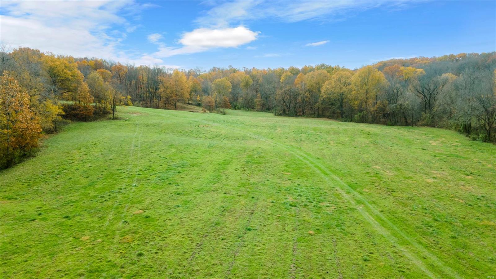 0 County Road 259 Property Photo 15