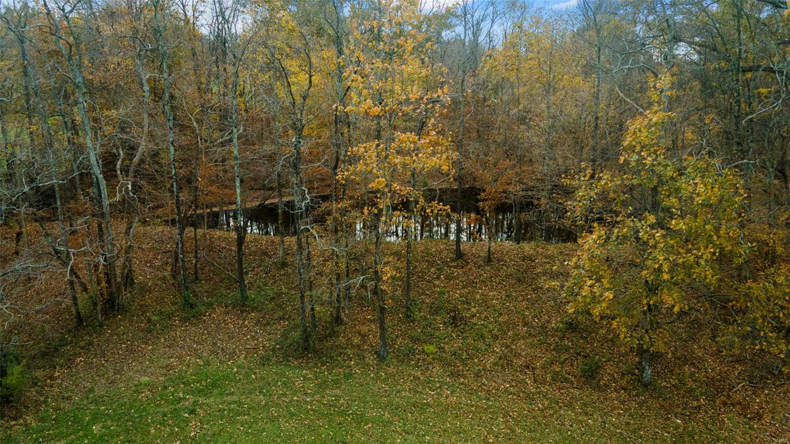0 County Road 259 Property Photo 18