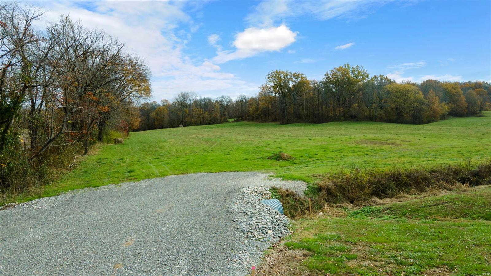 0 County Road 259 Property Photo 21