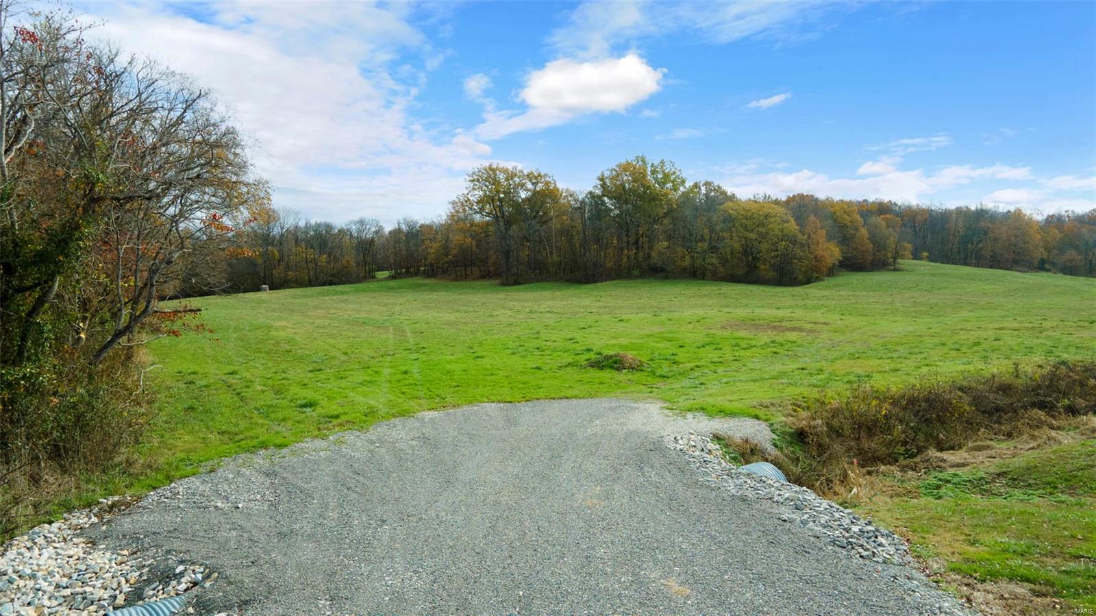 0 County Road 259 Property Photo 22
