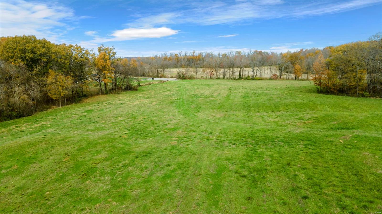 0 County Road 259 Property Photo 25