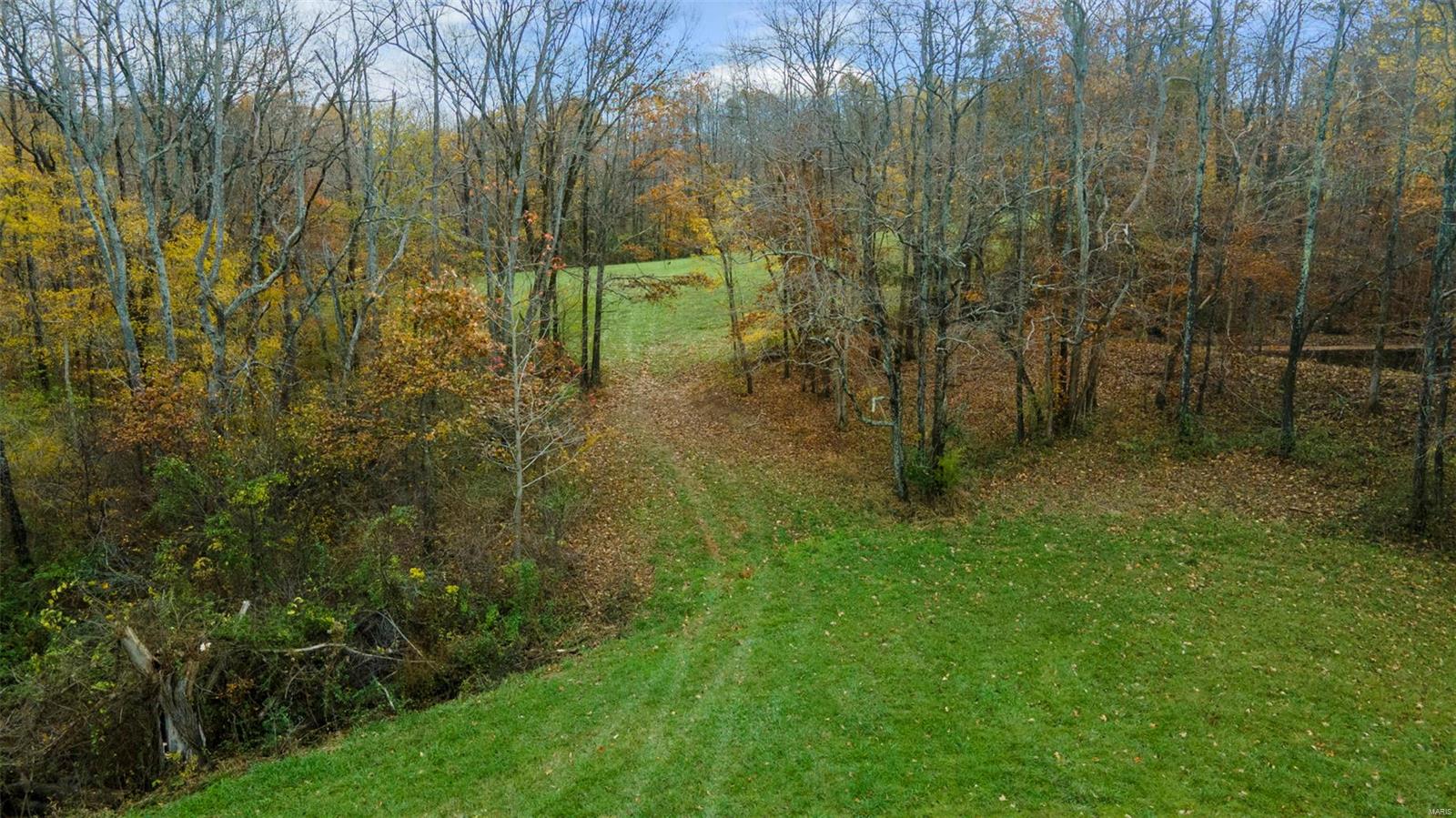 0 County Road 259 Property Photo 43