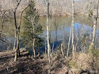 1092 Forest Way Property Photo