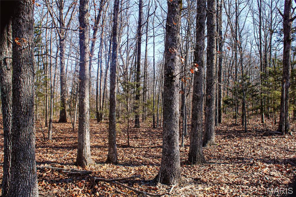 0 County Road 6130 Property Photo 2
