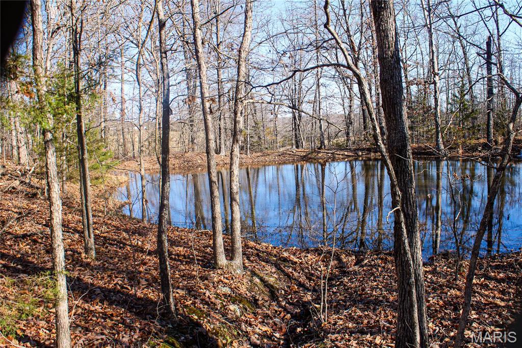0 County Road 6130 Property Photo 3