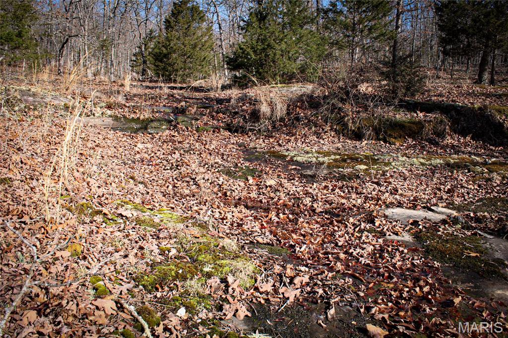 0 County Road 6130 Property Photo 4