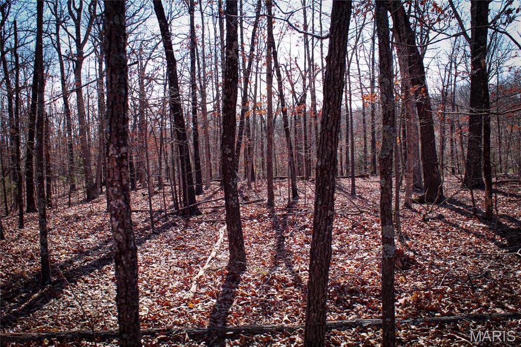 0 County Road 6130 Property Photo 5