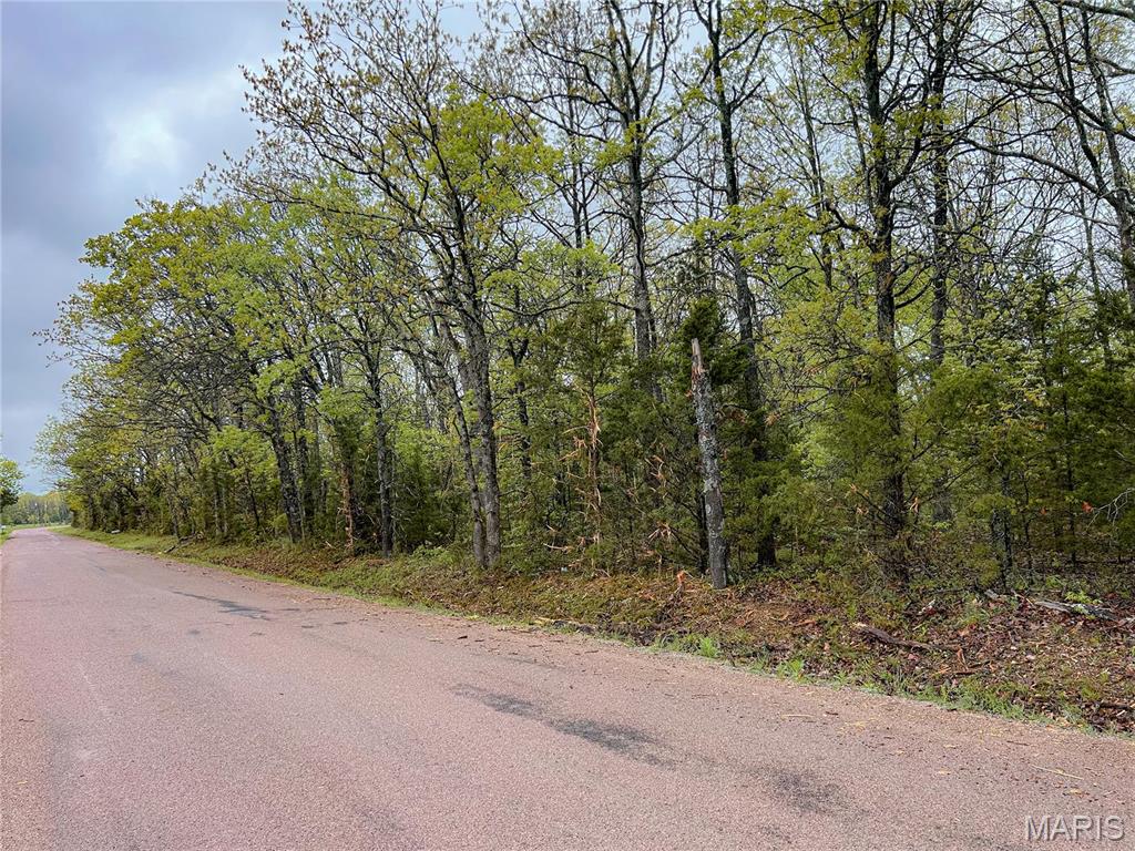 0 County Road 6130 Property Photo 8