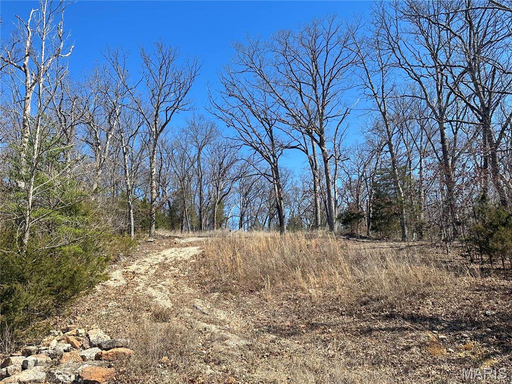 406 Mark Twain Loop Property Photo 2