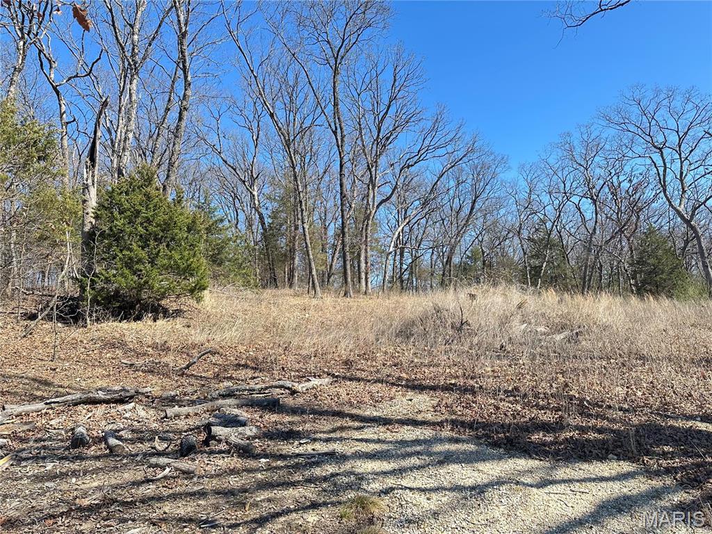 406 Mark Twain Loop Property Photo 3