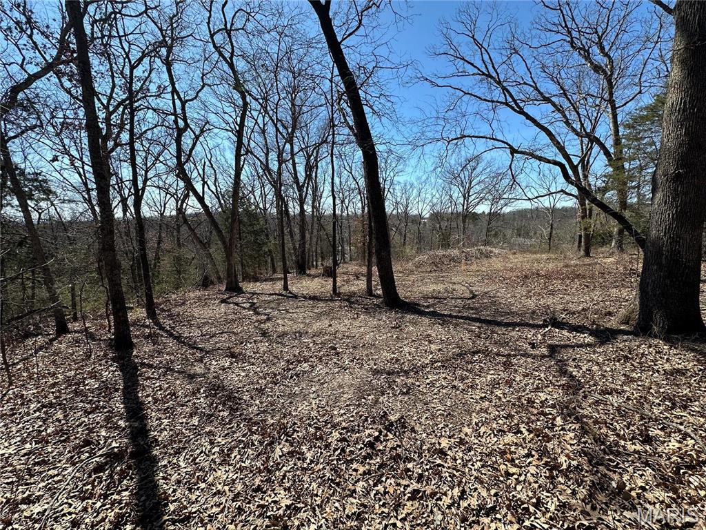 406 Mark Twain Loop Property Photo 4