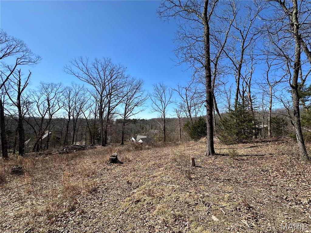 406 Mark Twain Loop Property Photo 5
