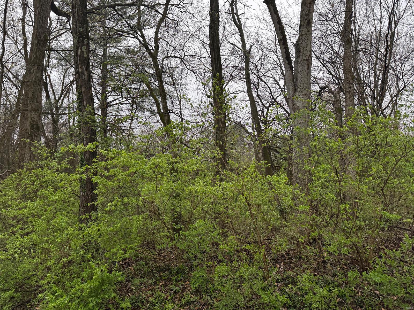 9 Wood Duck Drive Property Photo