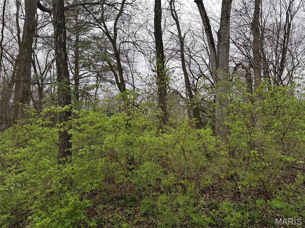9 Wood Duck Drive Property Photo 1