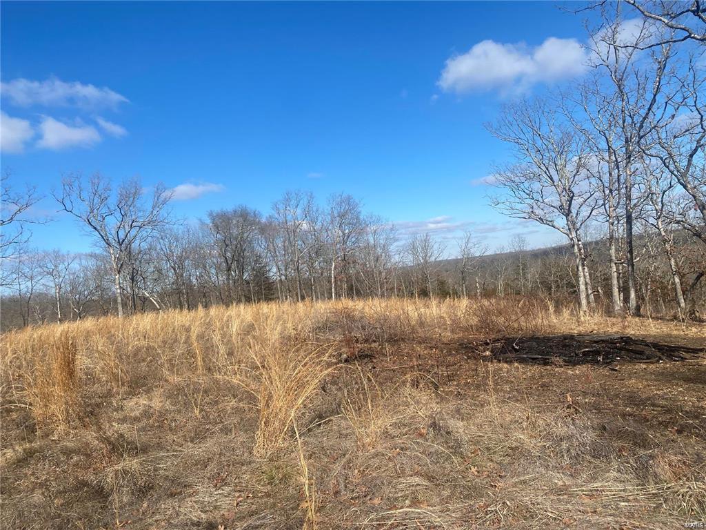 0 Riverwoods Bluff Trl Property Photo