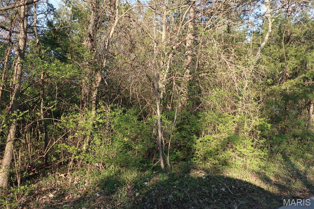 25019126 Property Photo 7