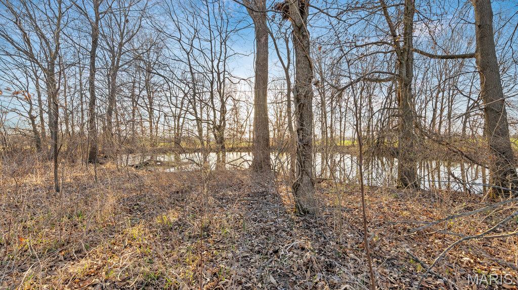 0 Old Setter Rd Property Photo 4