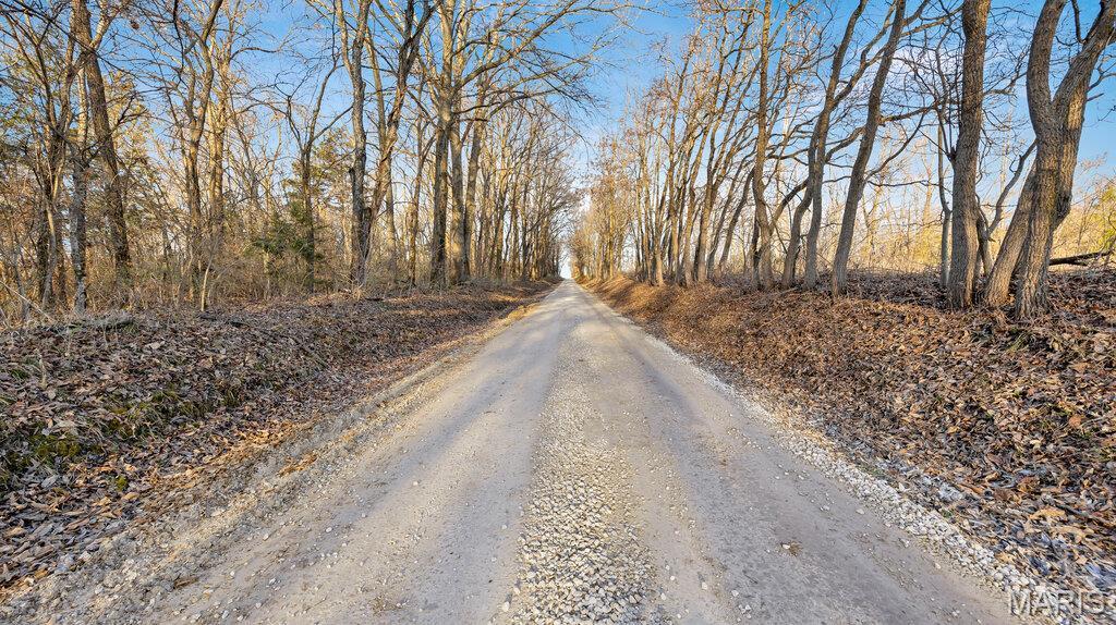 0 Old Setter Rd Property Photo 8