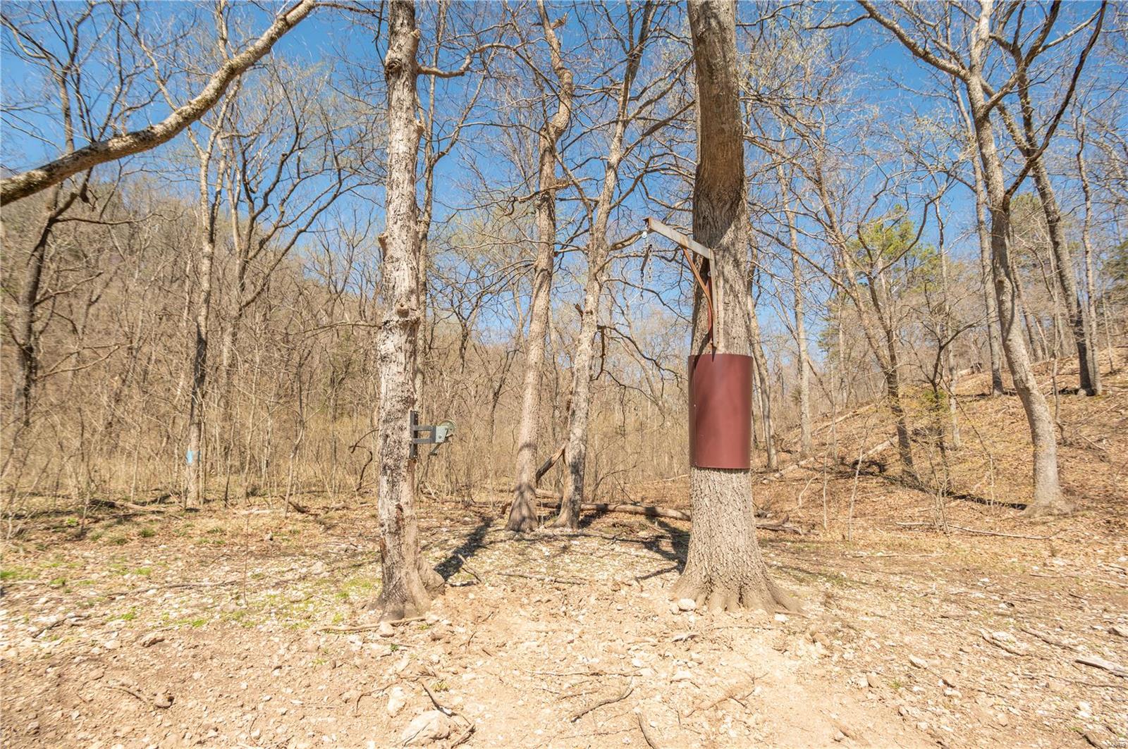 32315 County Road 325 Property Photo 53