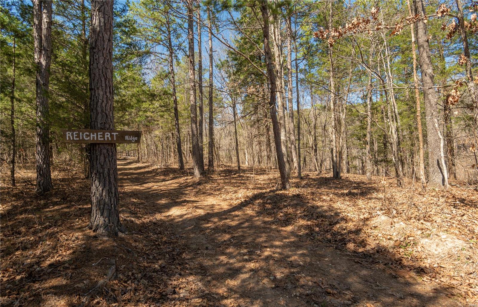 32315 County Road 325 Property Photo 65