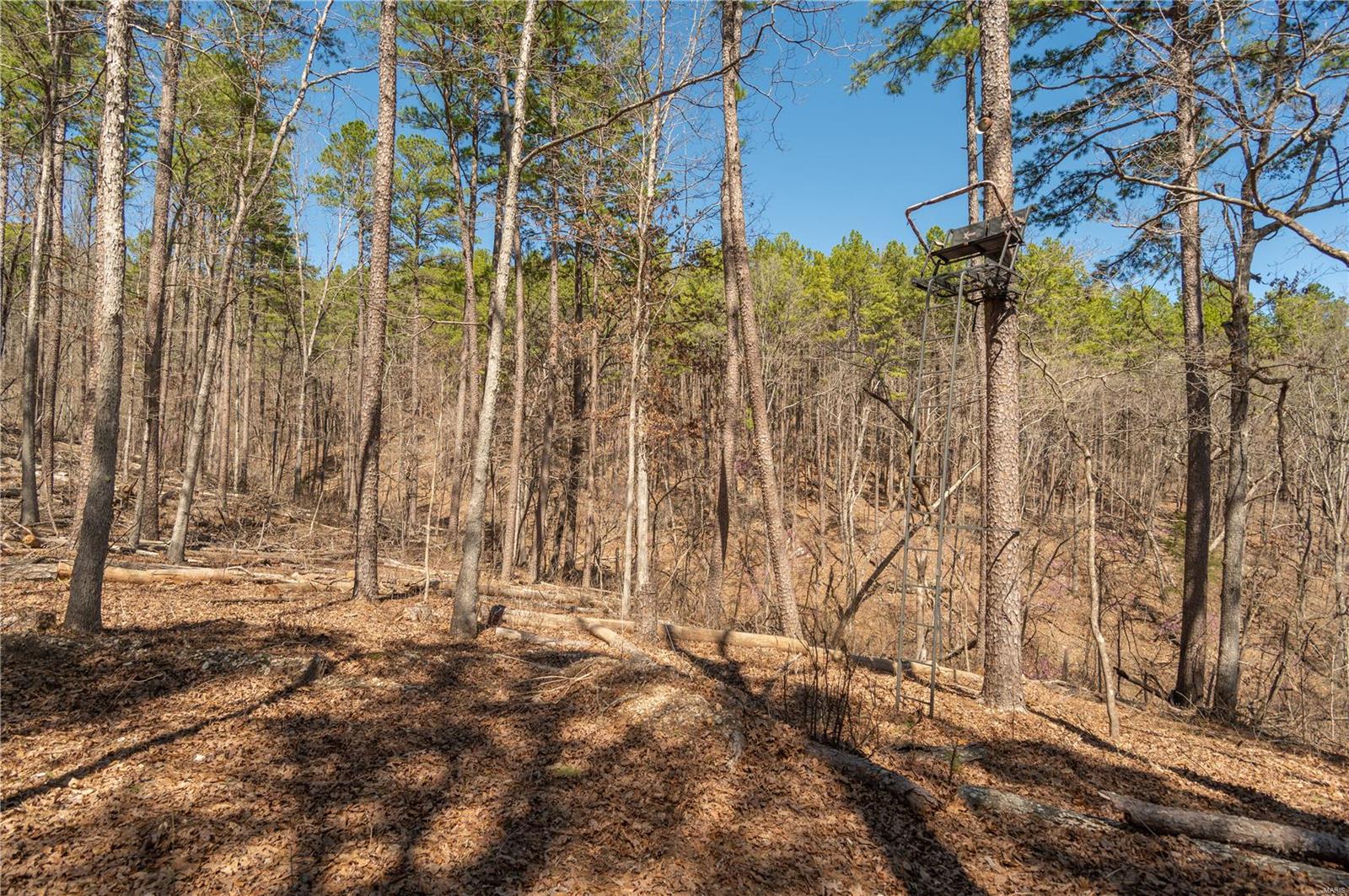 32315 County Road 325 Property Photo 69