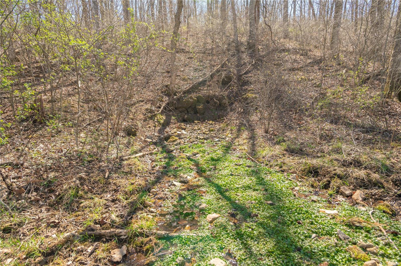 32315 County Road 325 Property Photo 77