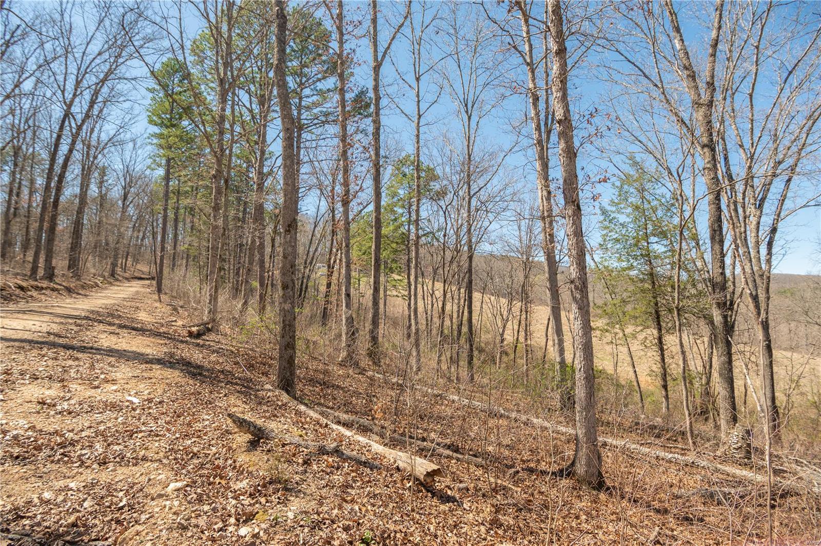 32315 County Road 325 Property Photo 92