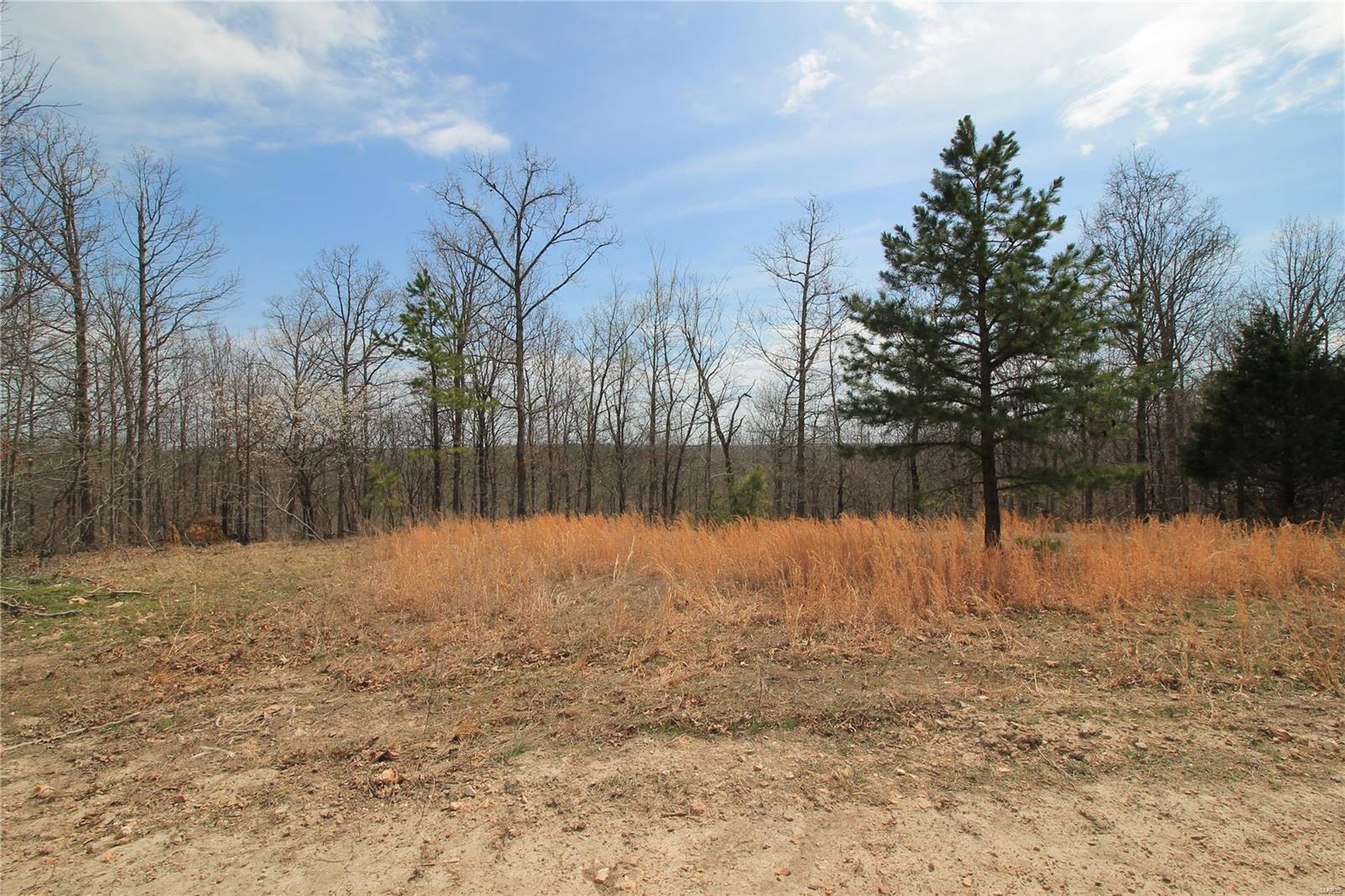 0 Madison Cr 411 (121a) 121a Property Photo 2