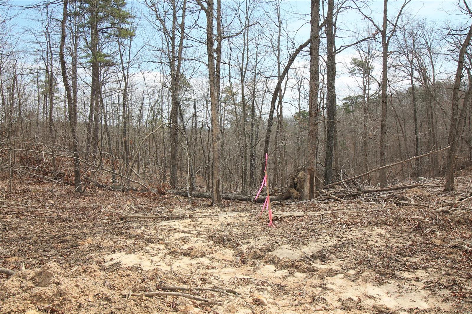 0 Madison Cr 411 (121a) 121a Property Photo 4