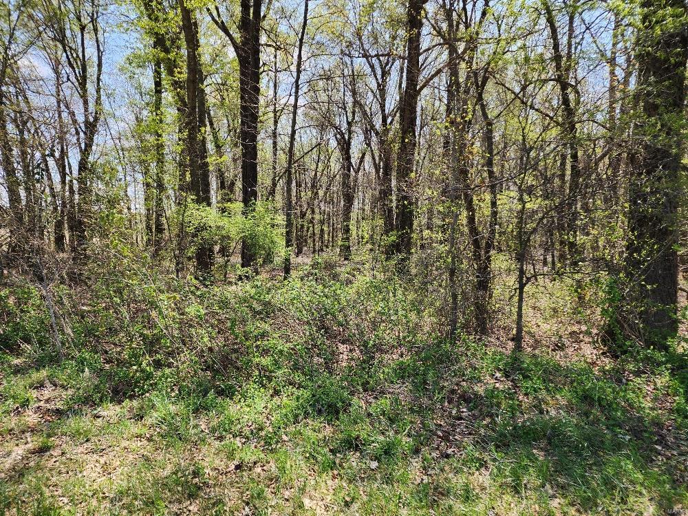 0 S County Road 268 Property Photo 1