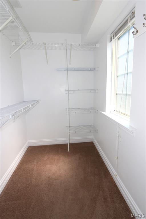 221 Stoneledge Court Property Photo 23