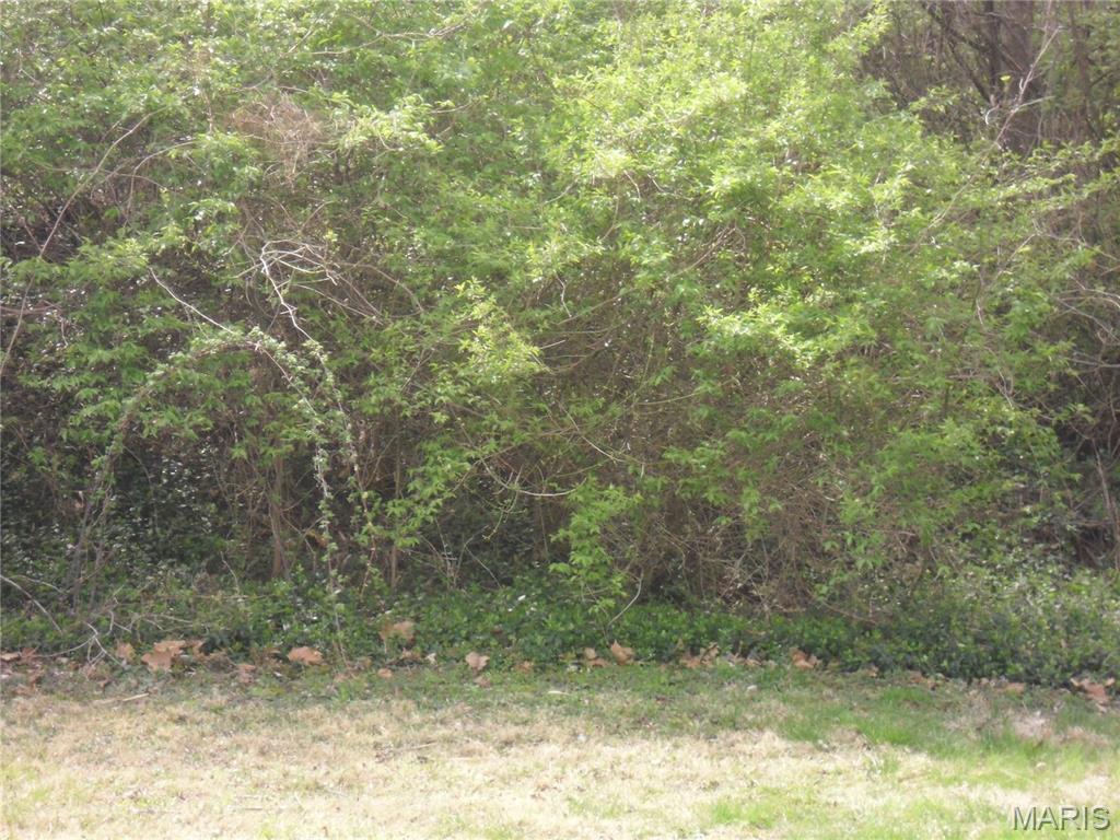 100 S 98th Street Property Photo 1