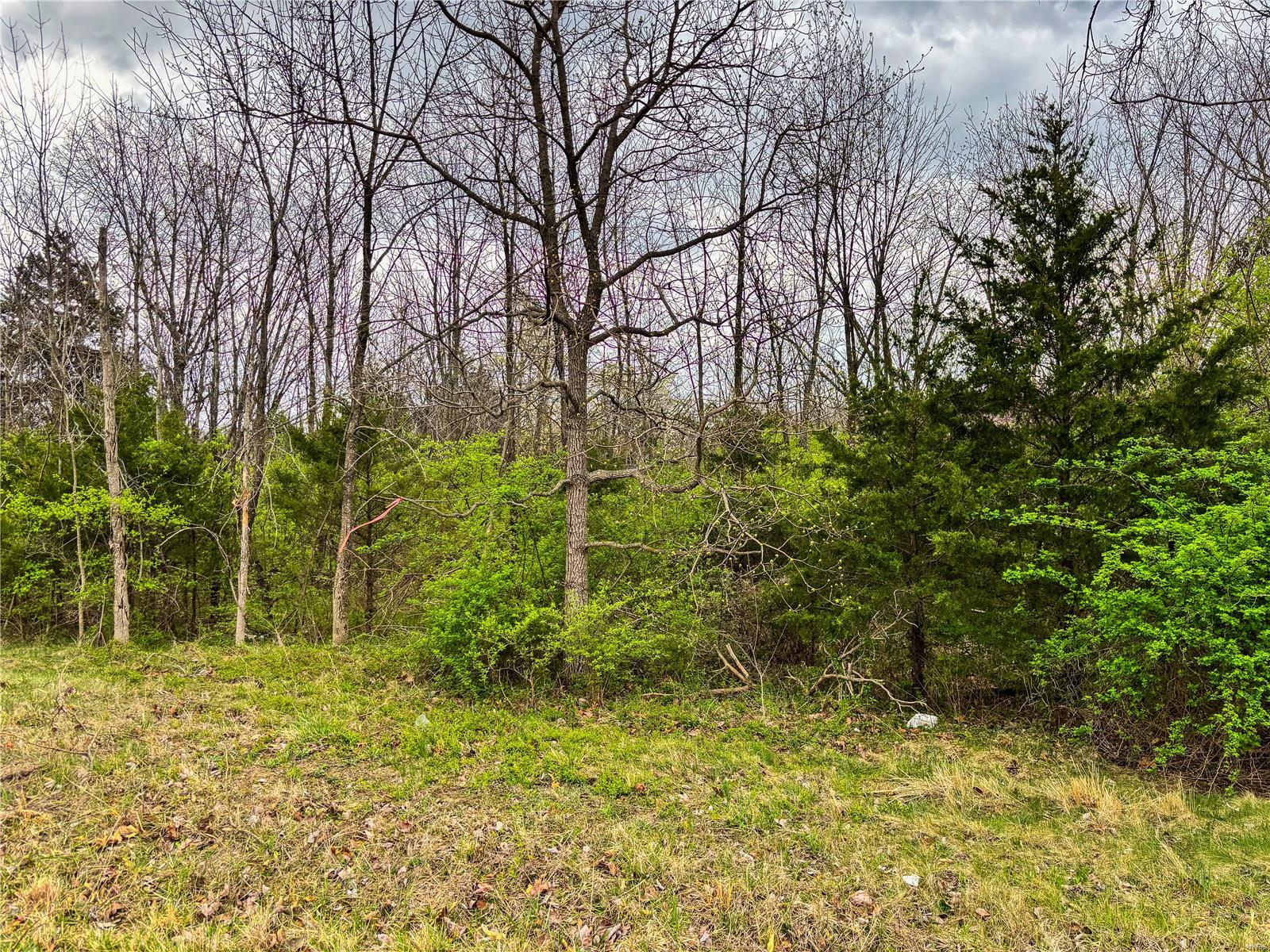 0 N Service Road Property Photo