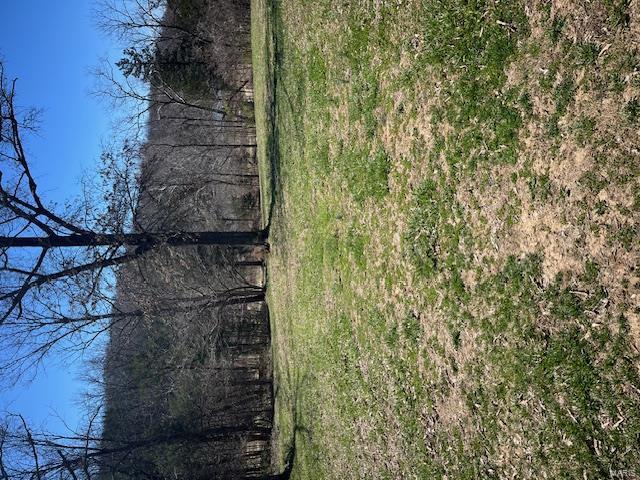Big Woods Real Estate Listings Main Image