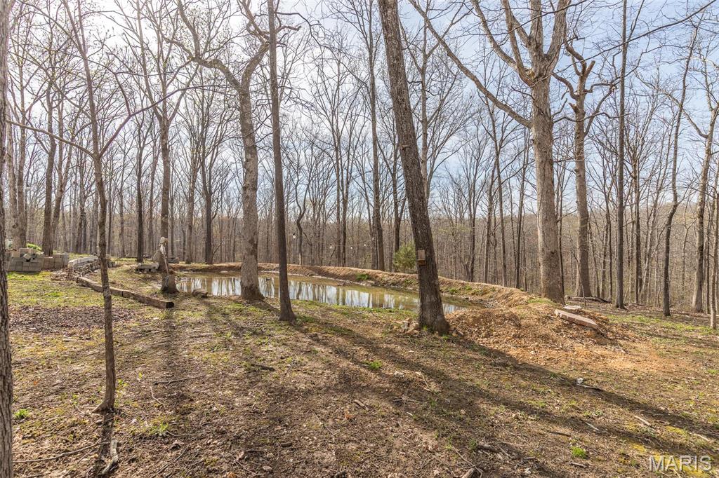 345 Johns Branch Road Property Photo 22