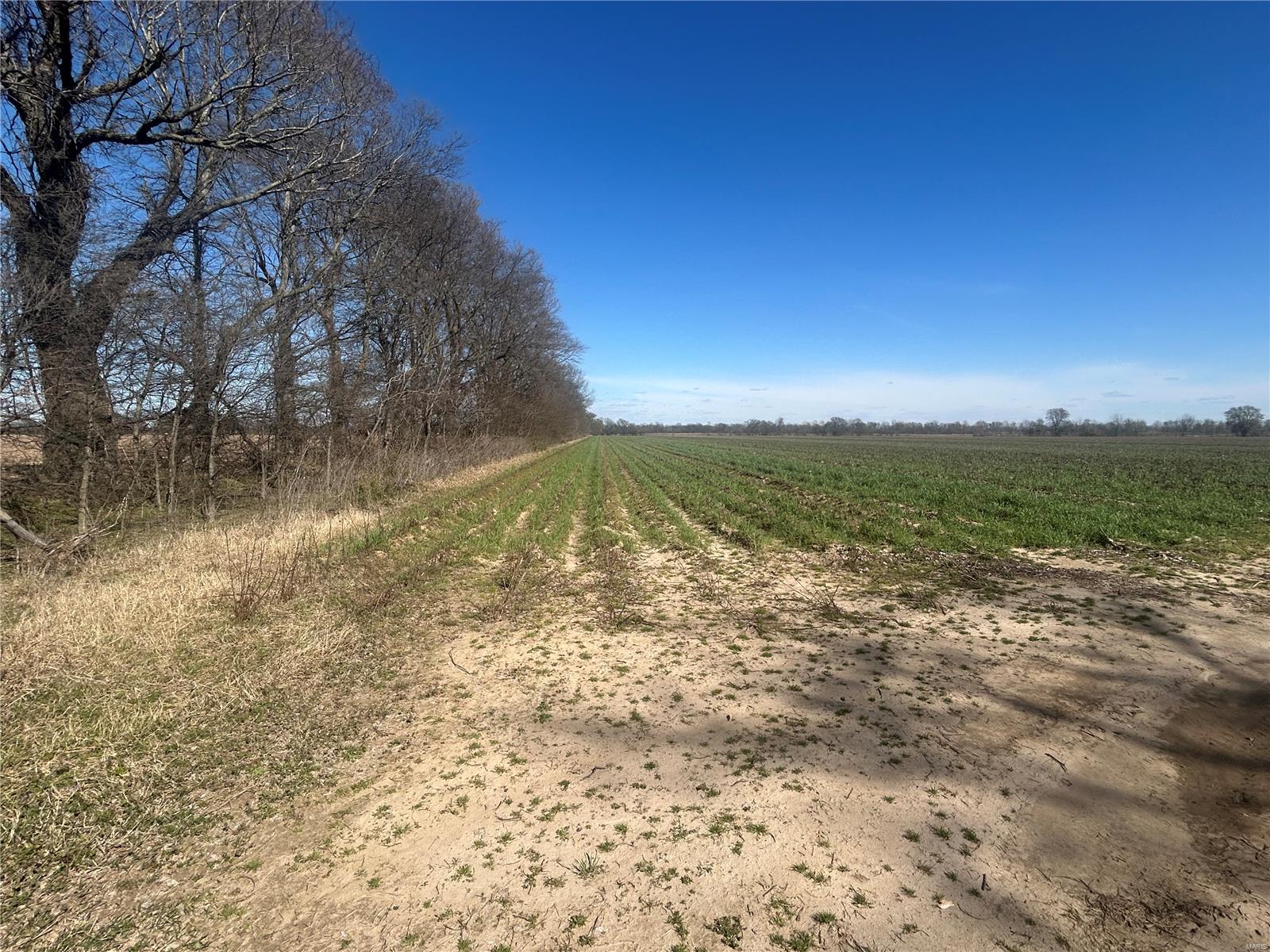 0 Hwy Y Rear L Property Photo