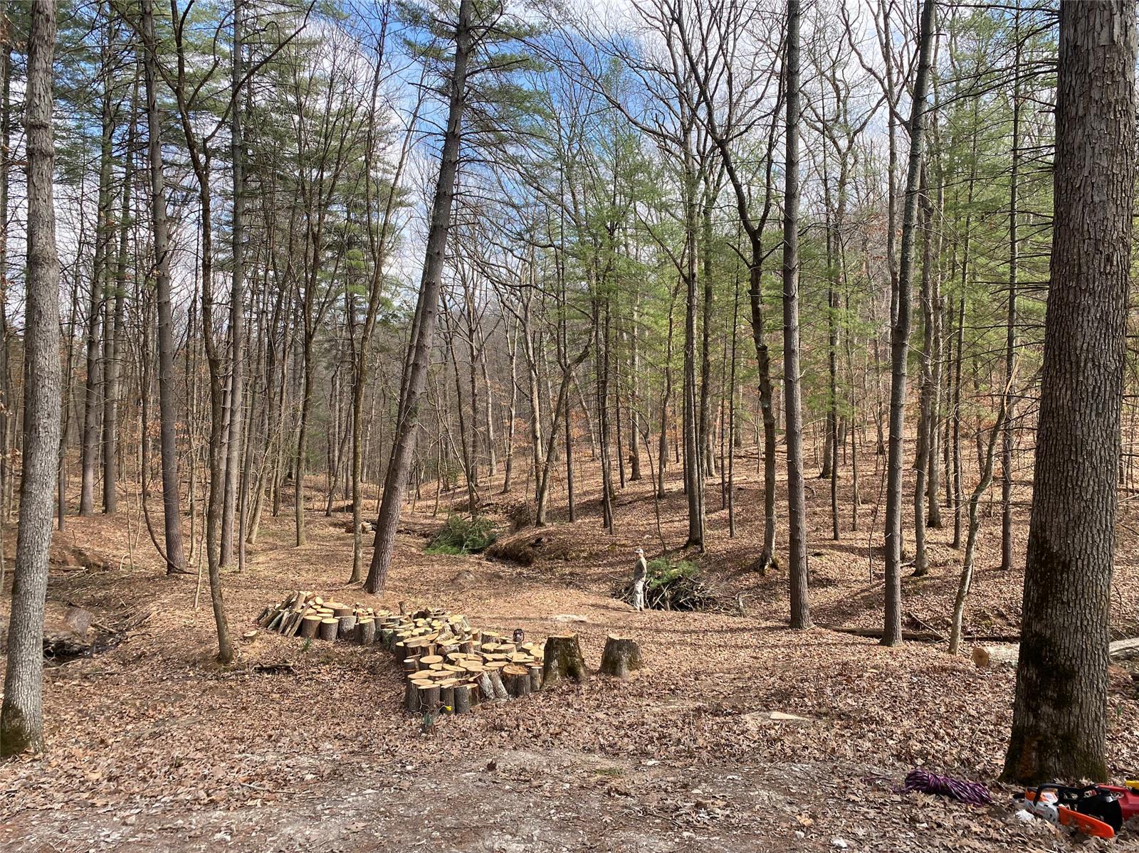 1400 Timber Valley Court Property Photo