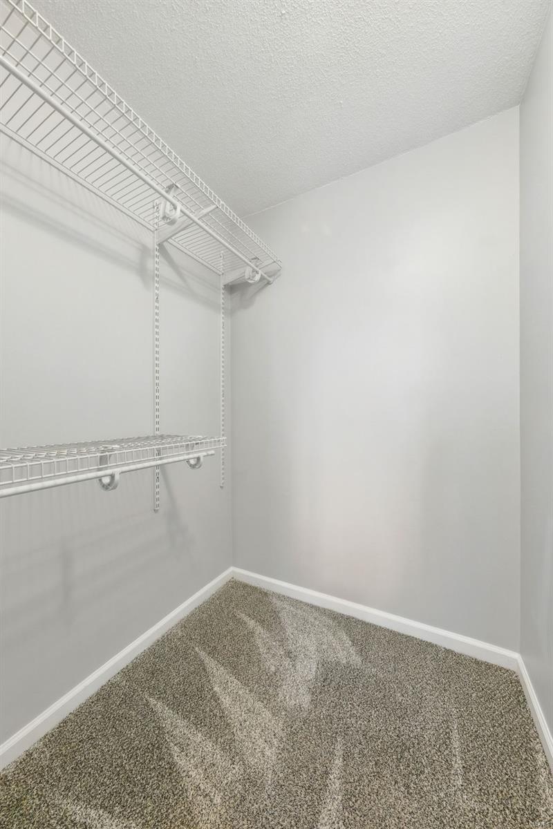 40 Muir Street Property Photo 17