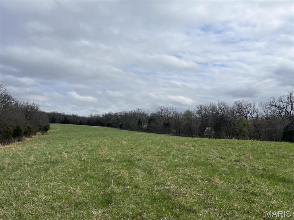 (31.26+/-ac) Tract #3 Horstman Road Property Photo 1