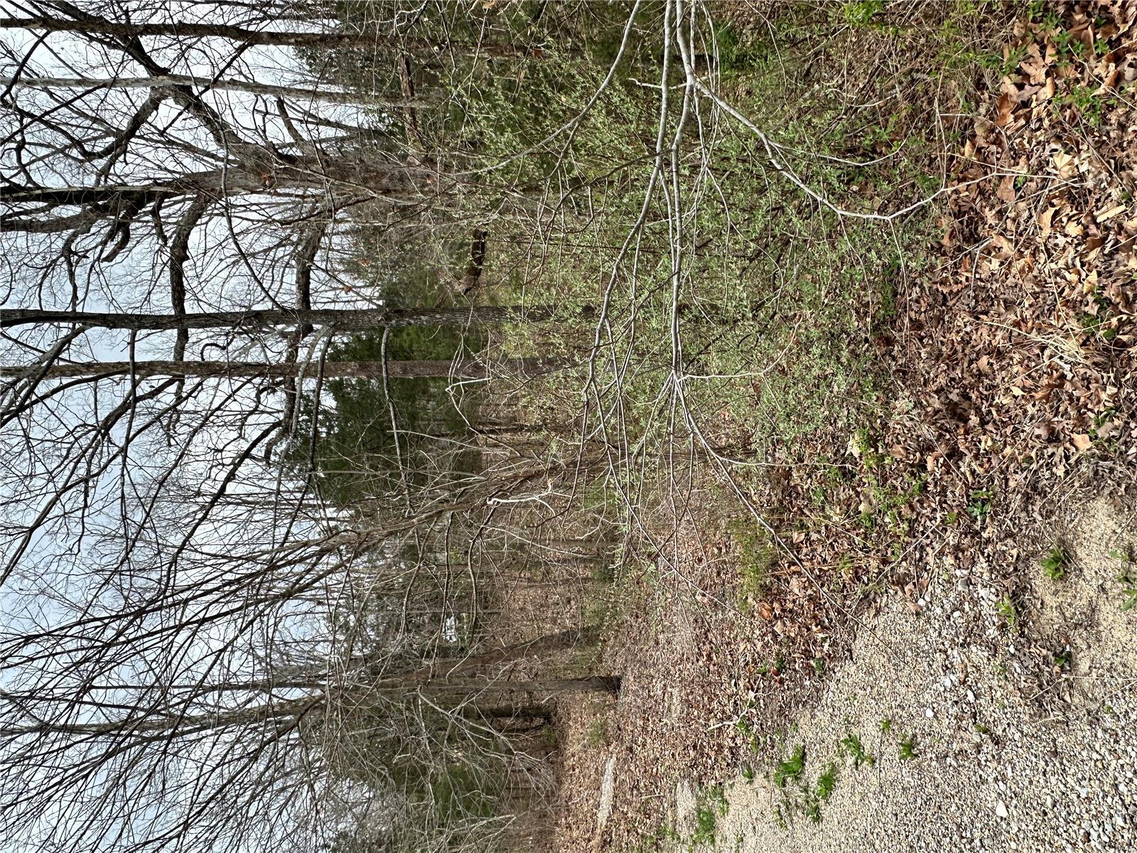 2023 Lakeshore Drive Property Photo