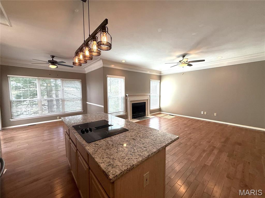 111 Chesterfield Bluffs Drive Property Photo 13