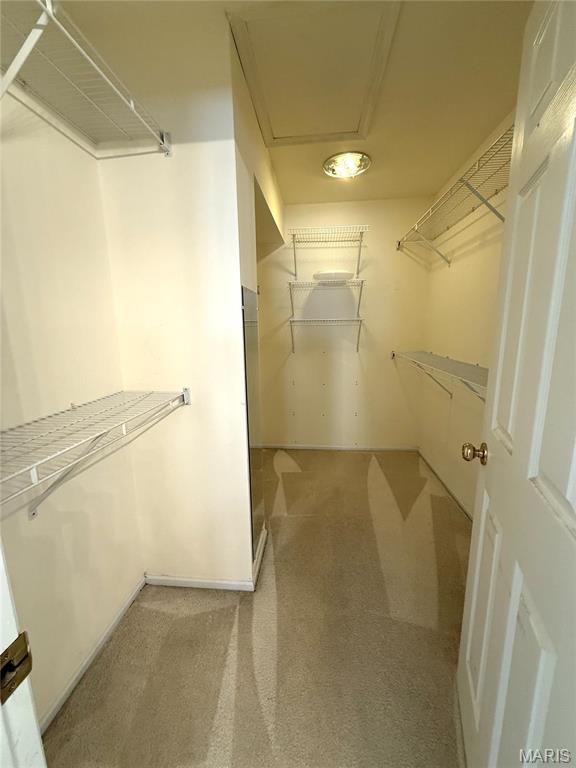 111 Chesterfield Bluffs Drive Property Photo 19