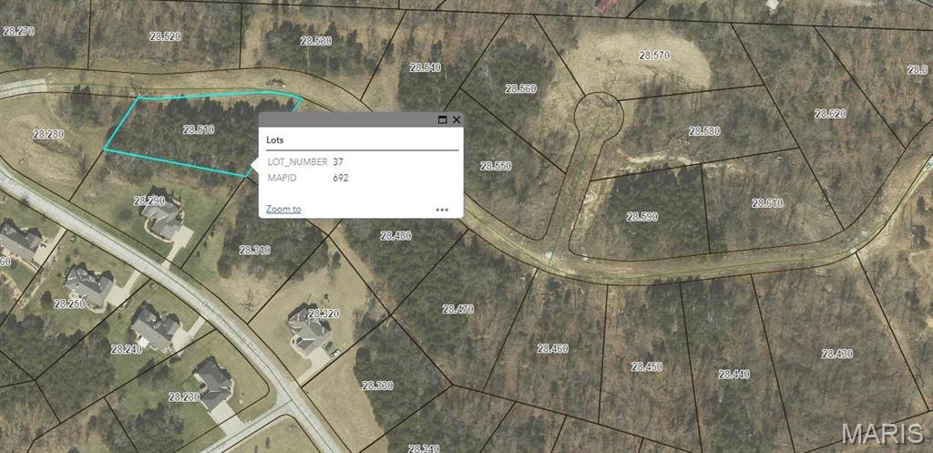 163 Scarlet Oak Loop (Lot 37) Property Photo 1