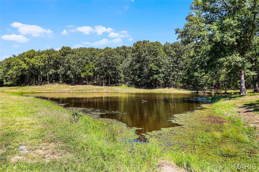 (31.46+/-ac) Tract #4 Horstman Road Property Photo 1