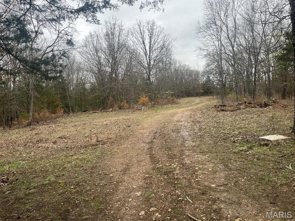 0 21.58 Ac Tract #6 Horstman Road Property Photo 1