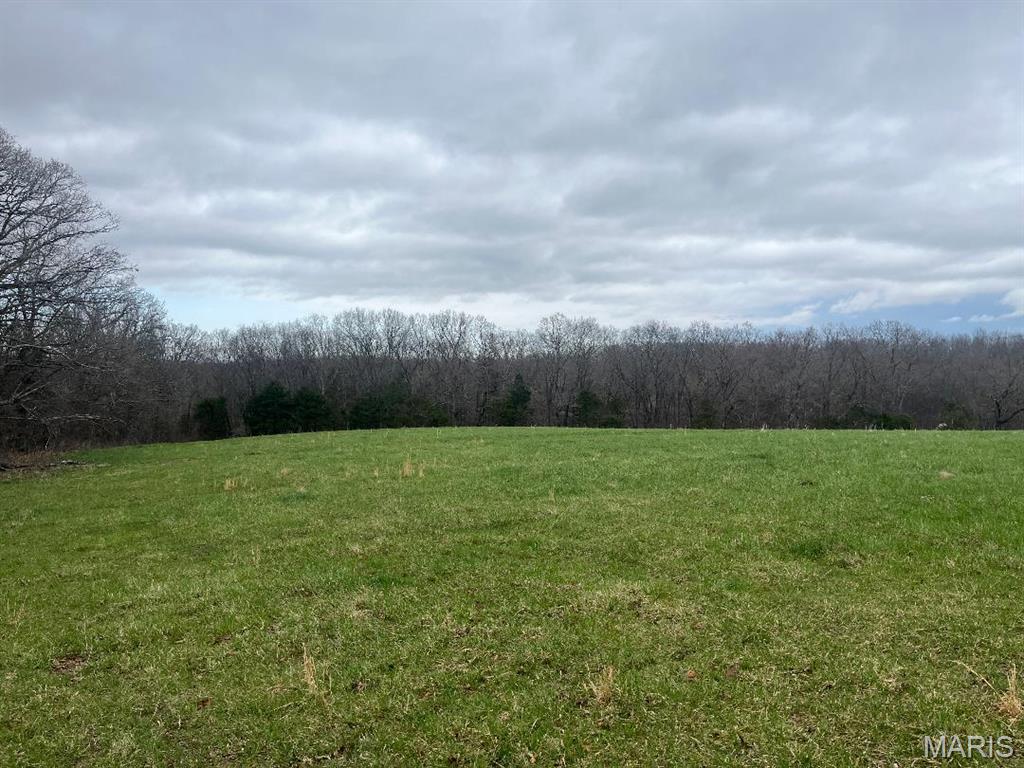 0 21.23 Ac Tract #7 Horstman Road Property Photo 1