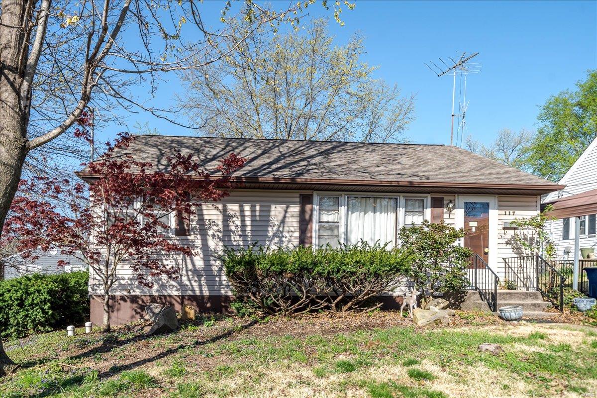 117 Moutier Street Property Photo