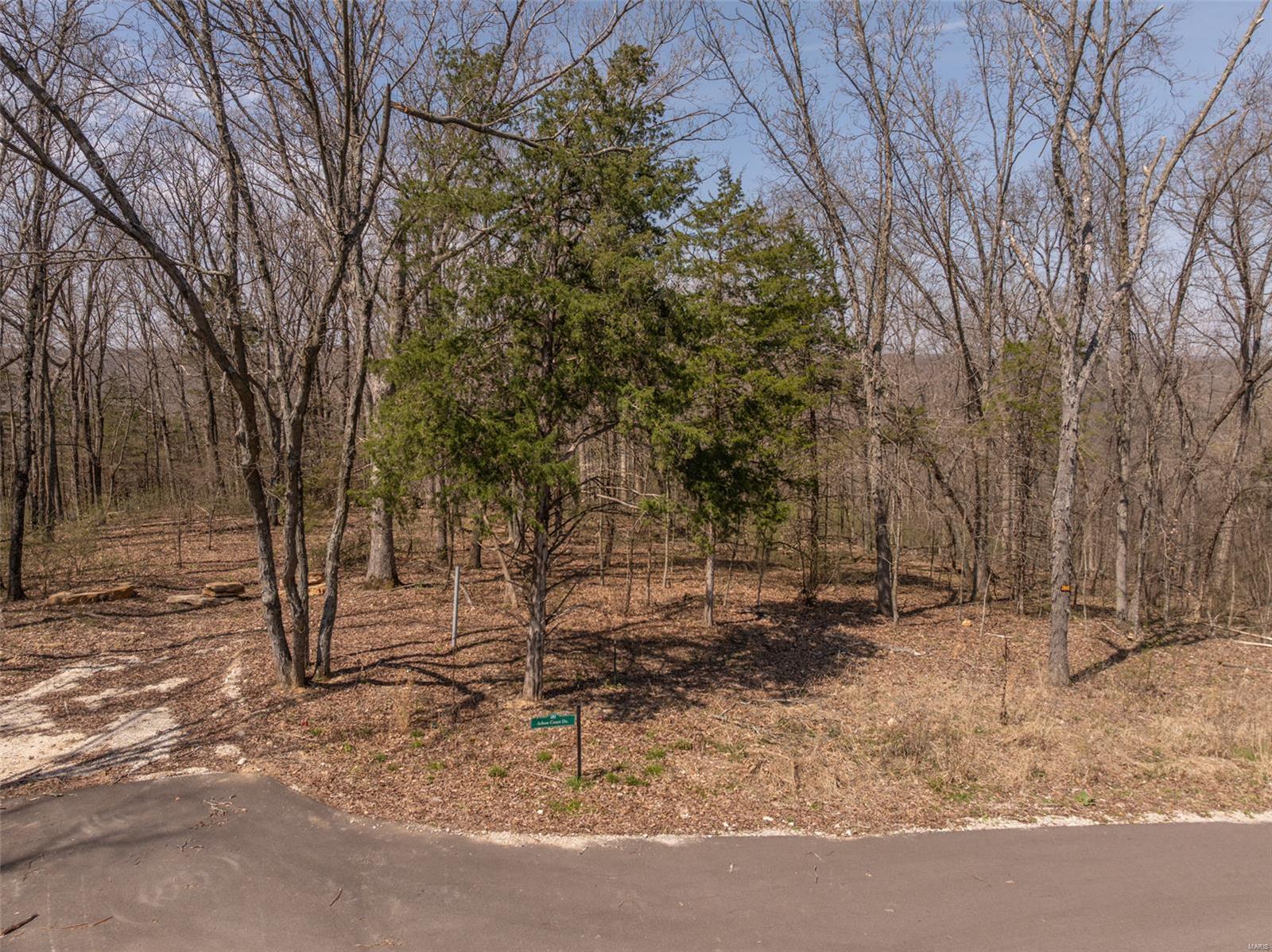 2845 Arbon Court Drive Property Photo